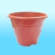 Flower Pot