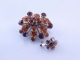Brooches NNB0051222