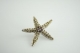 Brooches ITC136570