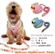 dog collar dog harness dog lead 